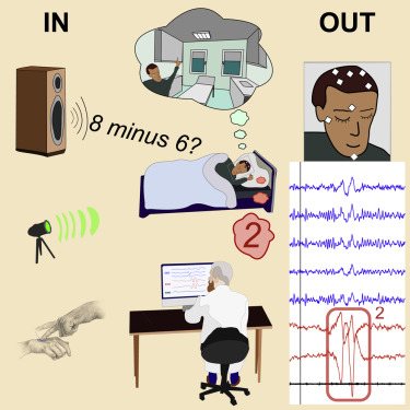 Real-time dialogue between experimenters and dreamers during REM sleep